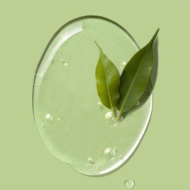 Tea Tree Extract